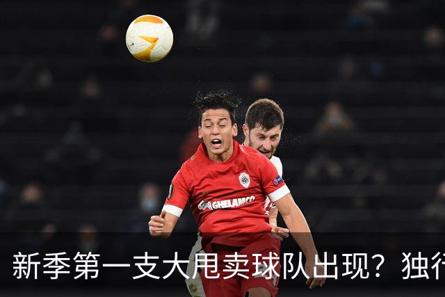 新季第一支大甩卖球队出现？独行侠换代克莱欧文都得走